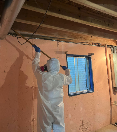 Effective Mold Removal: Your Guide to Wheaton and Rolling Meadows Services